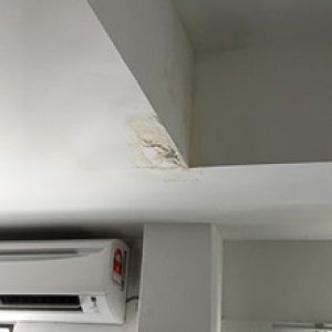 Ceiling Leak Repair
