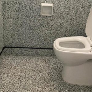 Epoxy Toilet