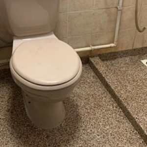 Epoxy Toilet
