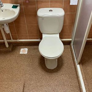 Epoxy Toilet