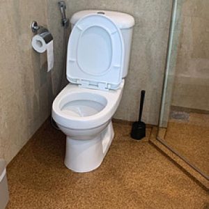 Epoxy Toilet