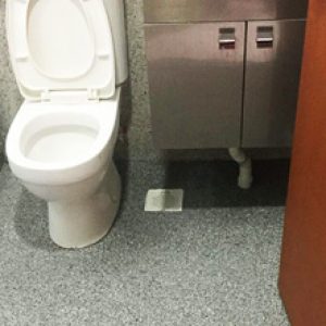 Epoxy Toilet