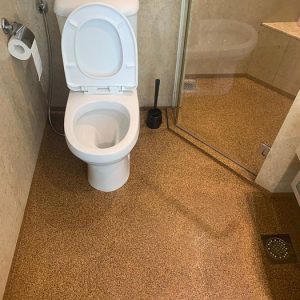 Epoxy Toilet