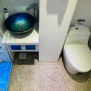 Epoxy Toilet