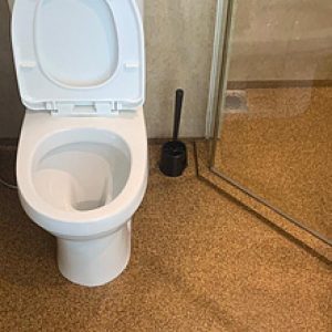 Epoxy Toilet Floor