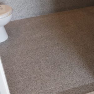 Epoxy Toilet Floor