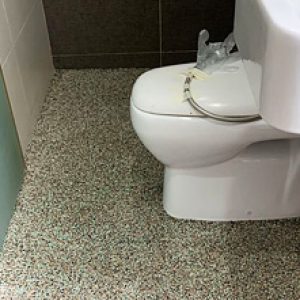 Toilet Waterproofing